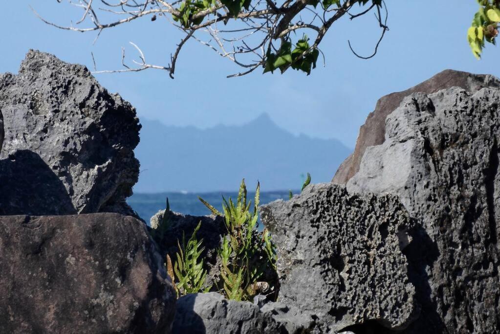 Raiatea, Opoa, Studio Du Fare Reve, Acces Mer Privatif Extérieur photo