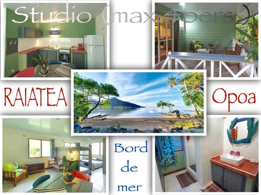 Raiatea, Opoa, Studio Du Fare Reve, Acces Mer Privatif Extérieur photo