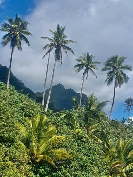 Raiatea, Opoa, Studio Du Fare Reve, Acces Mer Privatif Extérieur photo