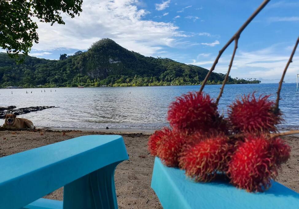 Raiatea, Opoa, Studio Du Fare Reve, Acces Mer Privatif Extérieur photo